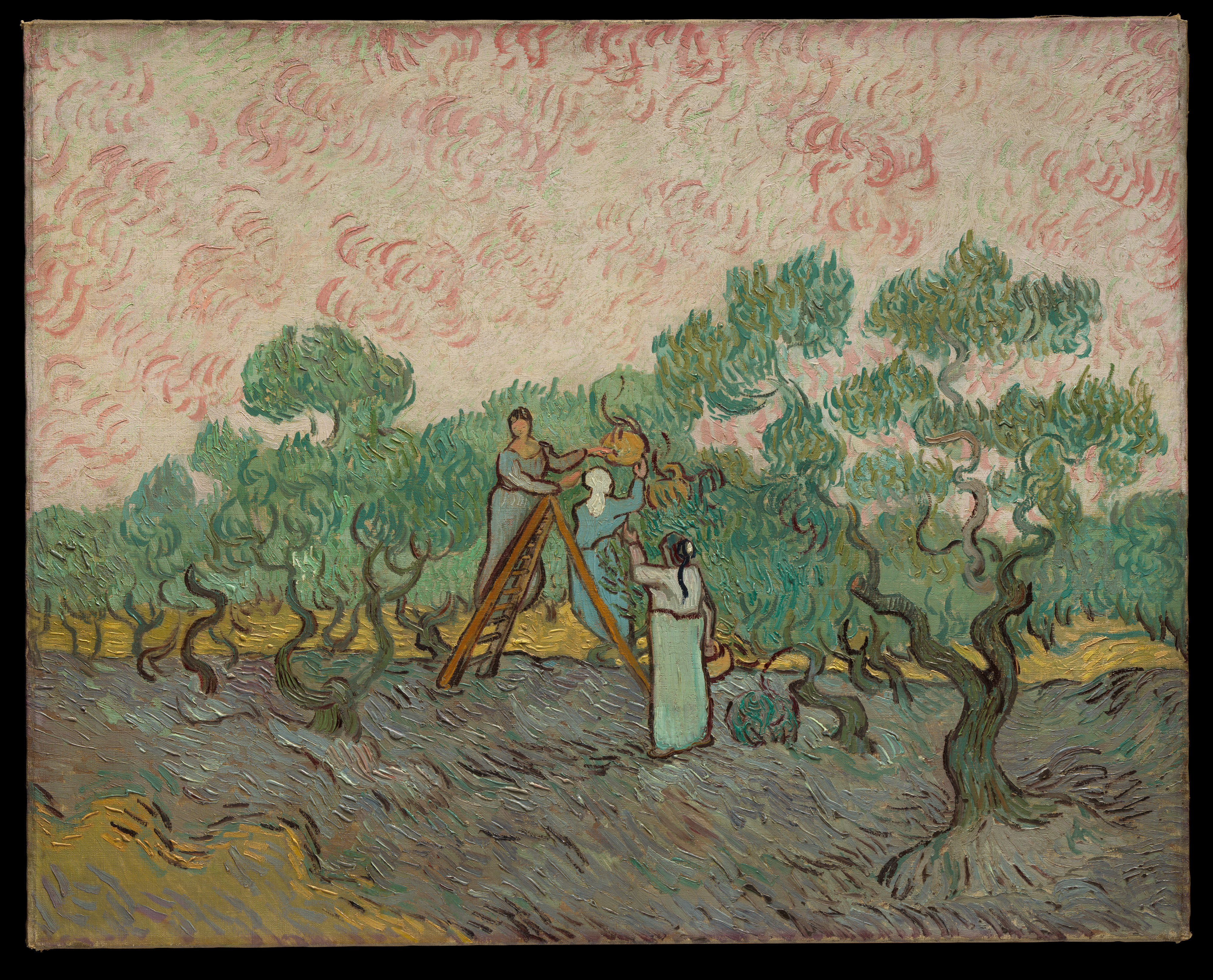 Women Picking Olives by Vincent van Gogh, 1889